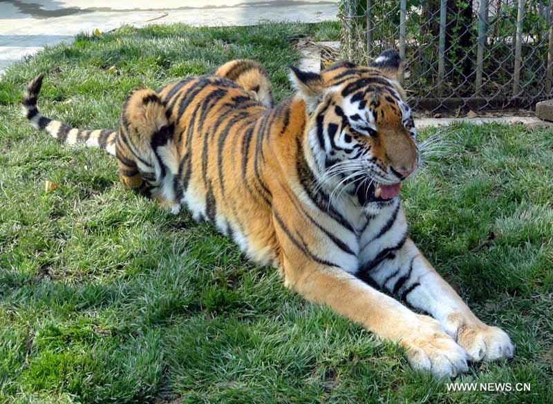 Le Zoo de Suzhou, dans l'est de la Chine