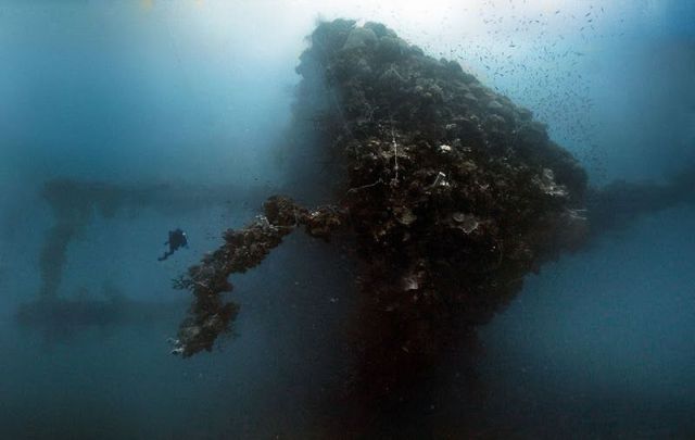 Les mystères du fond de l&apos;océan