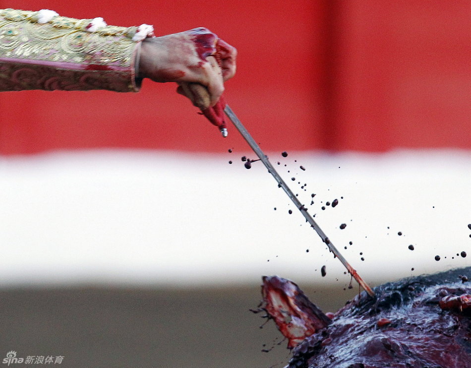 les meilleures photos sportives de lannée 2012 selon osports