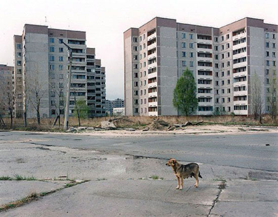 Retour à Tchernobyl: 26 ans après la catastrophe