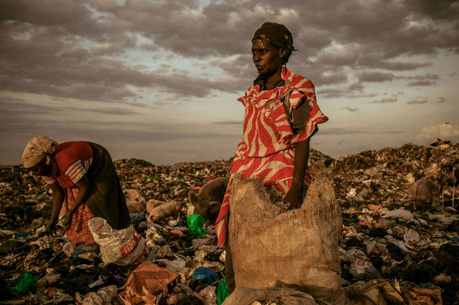 Les gagnants du concours de photographie 2012 du magazine National Geographic