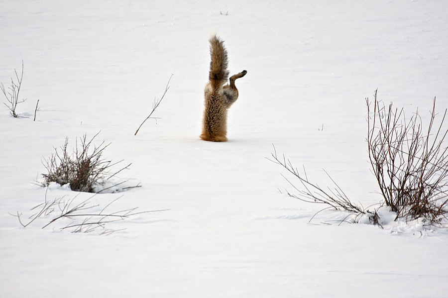 Les gagnants du concours de photographie 2012 du magazine National Geographic