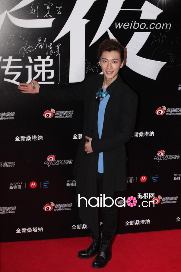 Le tapis rouge du gala Sina Weibo Night