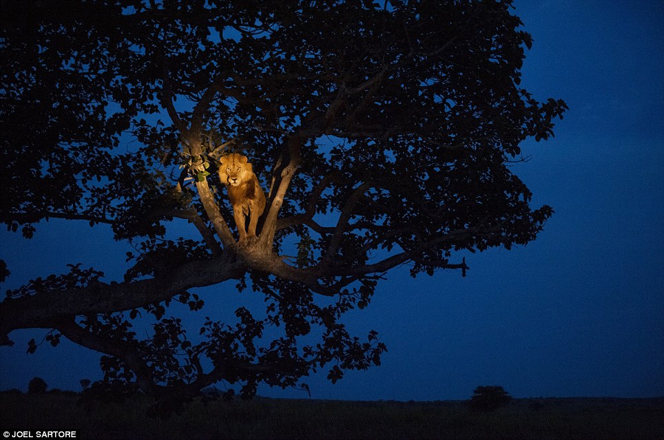 Dix images emblématiques du National Geographic