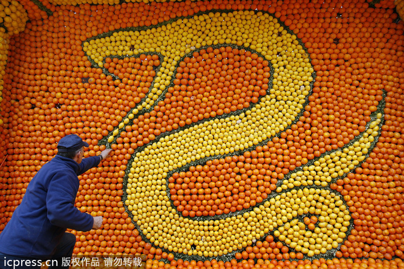 Menton : la ville française des citrons