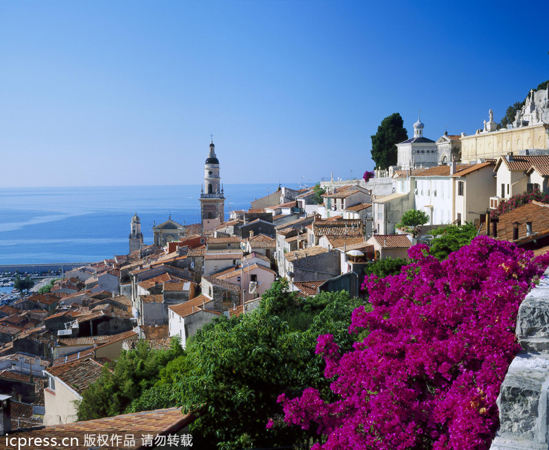 Menton : la ville française des citrons