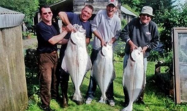 Les plus gros poissons du monde!