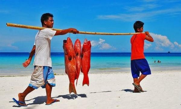 Les plus gros poissons du monde!