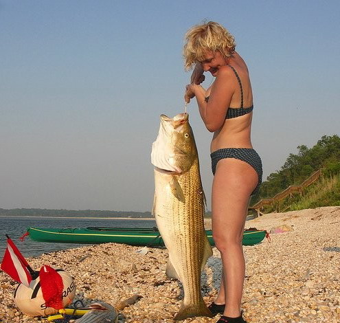 Les plus gros poissons du monde!