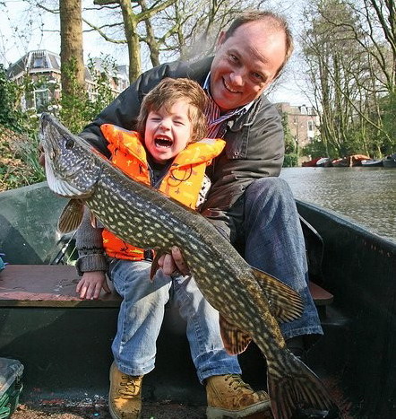 Les plus gros poissons du monde!