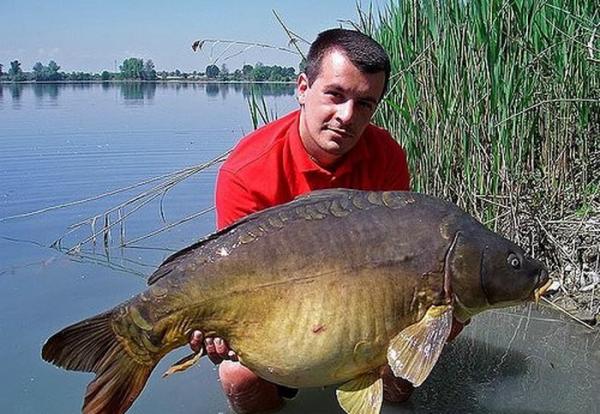 Les plus gros poissons du monde!