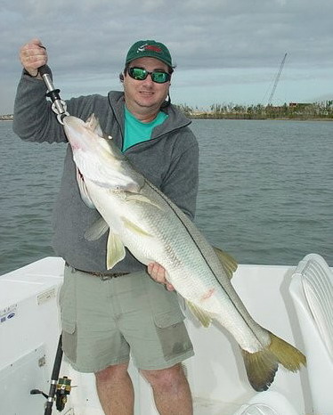 Les plus gros poissons du monde!