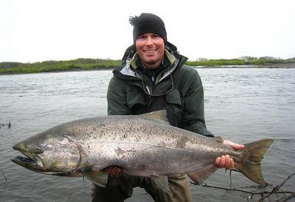 Les plus gros poissons du monde!