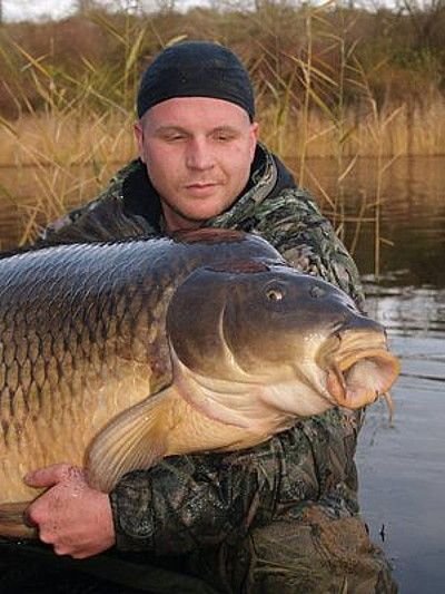 Les plus gros poissons du monde!