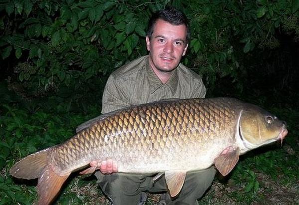 Les plus gros poissons du monde!