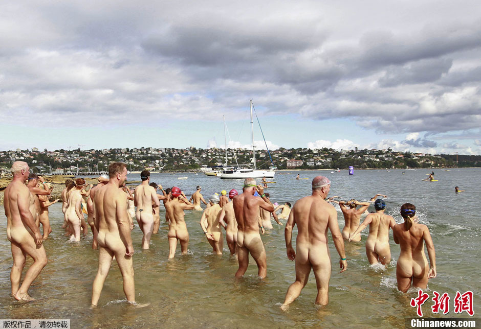 Sydney : Plus de 400 personnes nagent nues pour sauver des animaux sauvages