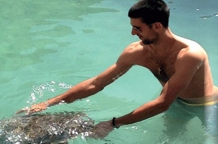 Djokovic s&apos;amuse avec une tortue à Dubaï