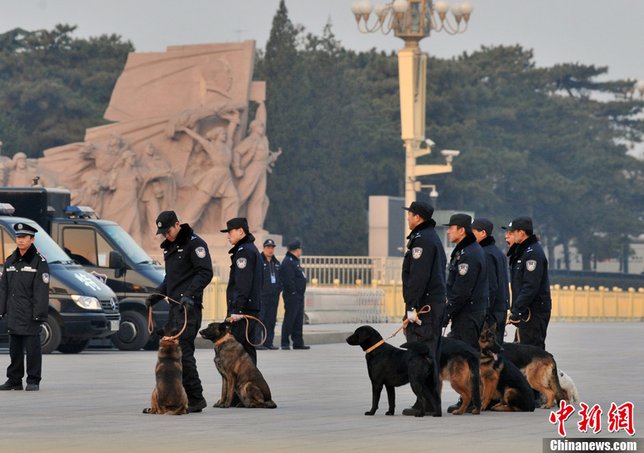 Deux sessions en images : des chiens de sécurité