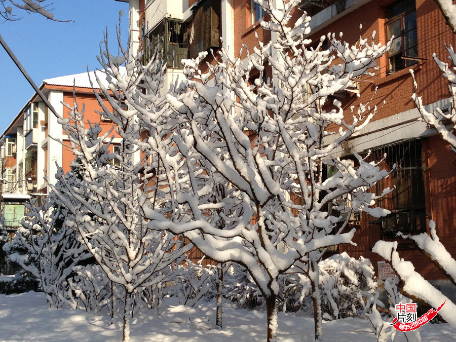 Beijing sous la neige en plain mois de mars !