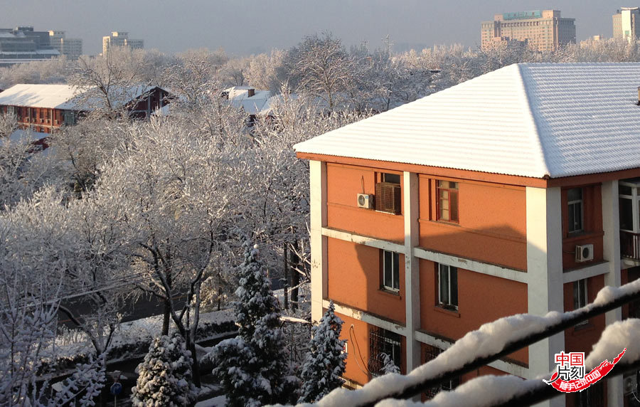 Beijing sous la neige en plain mois de mars !