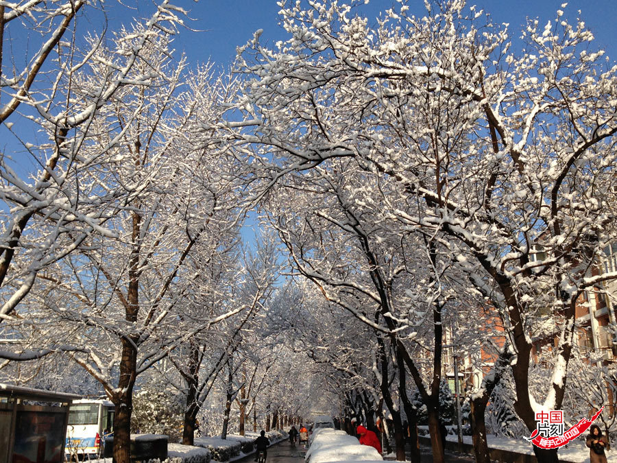 Beijing sous la neige en plain mois de mars !