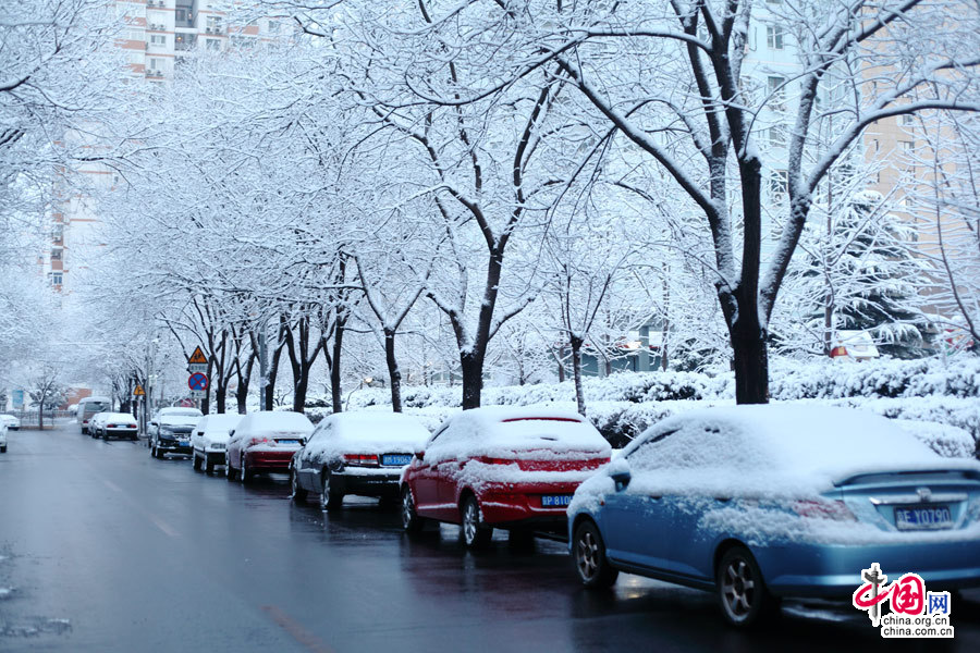 Beijing sous la neige en plain mois de mars !