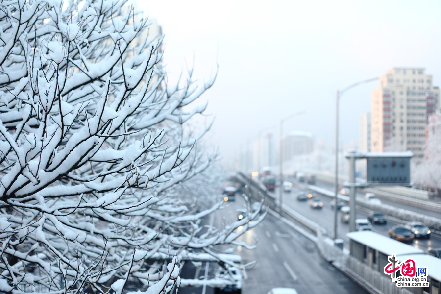 Beijing sous la neige en plain mois de mars !