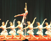 'Perception de la Chine': une combinaison entre danse et opéra de Pékin offre une nouvelle expérience aux spectateurs