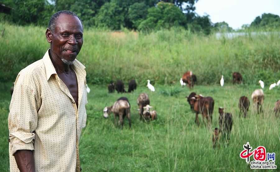 Voyage à Brazzaville : à la découverte de l'âme de la République du Congo 