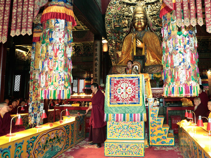 Le 11e Panchen Lama prie pour les sinistrés du séisme de Ya'an