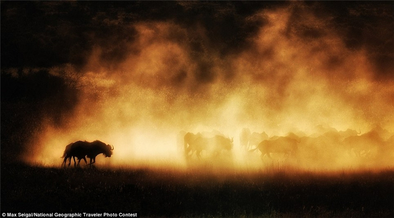 Les photos en compétition pour le Traveler Photo Contest de National Geographic