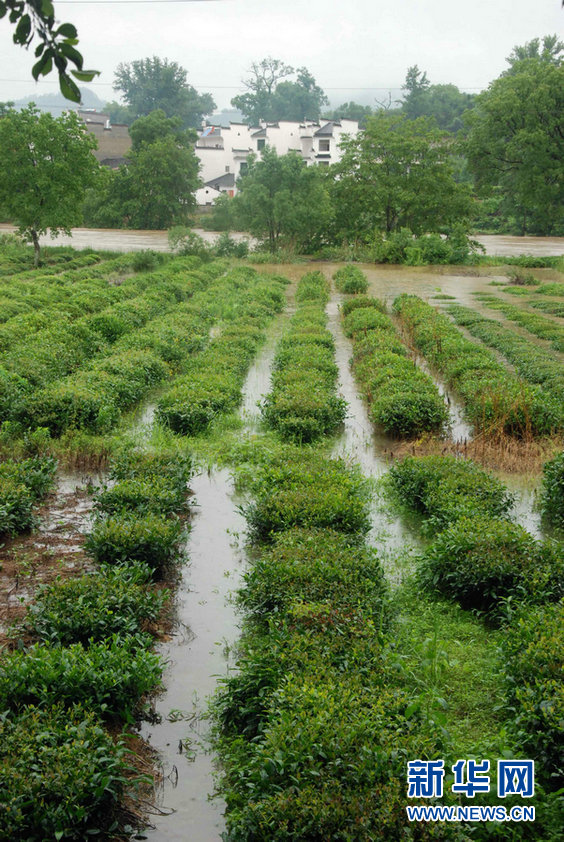 Les pluies persistent dans le sud et les températures augmentent dans le nord