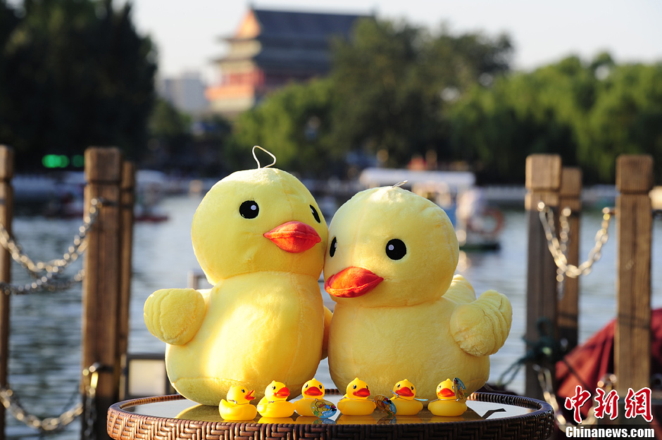 Beijing : la fièvre des canards jaunes gagne Shichahai