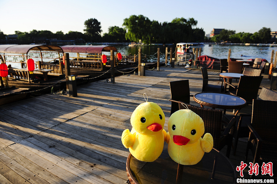 Beijing : la fièvre des canards jaunes gagne Shichahai