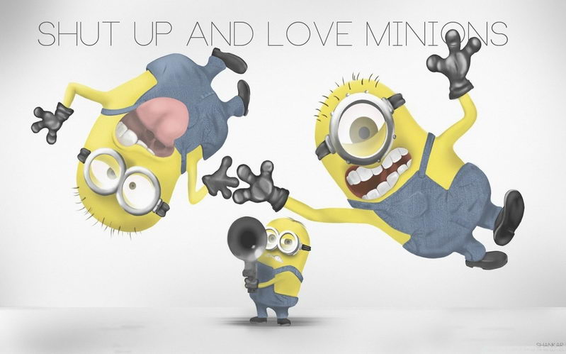 Les images du film Moi, moche et méchant 2