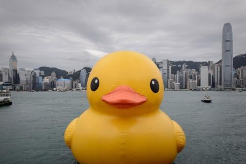 Le canard gonflable géant arrivera à Beijing et sera encore plus grand