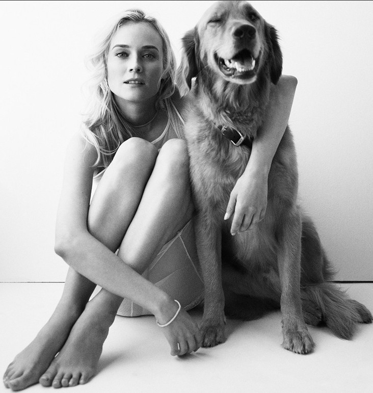 Le top 10 des stars aux mensurations idéales Le top 10 des stars aux mensurations idéales