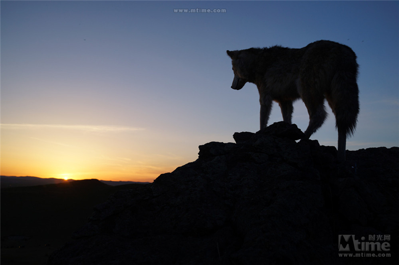 Wolf Totem, film au budget record en Chine