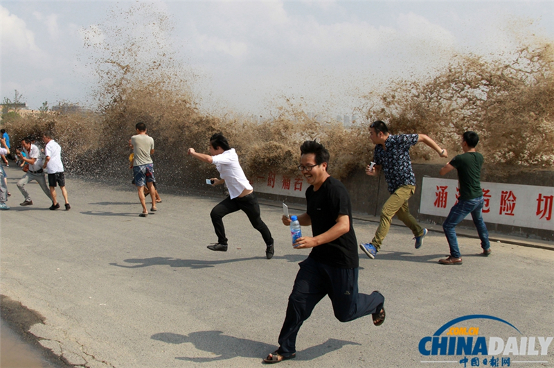 Les mascarets du fleuve Qiantang à Hangzhou