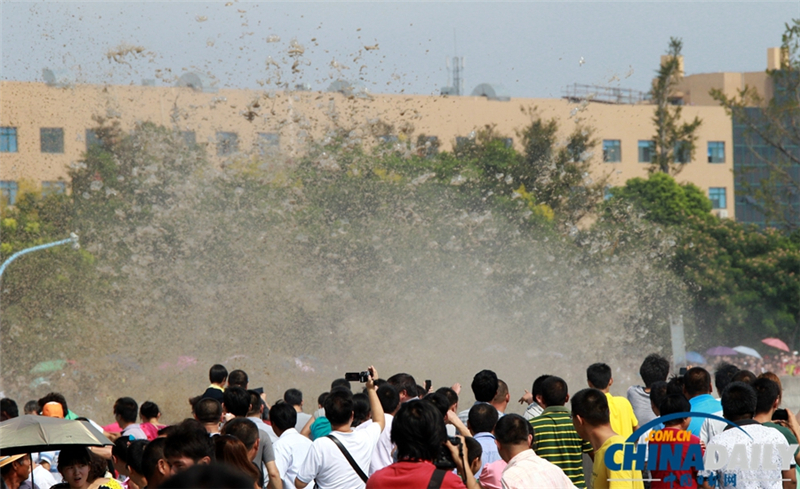 Les mascarets du fleuve Qiantang à Hangzhou