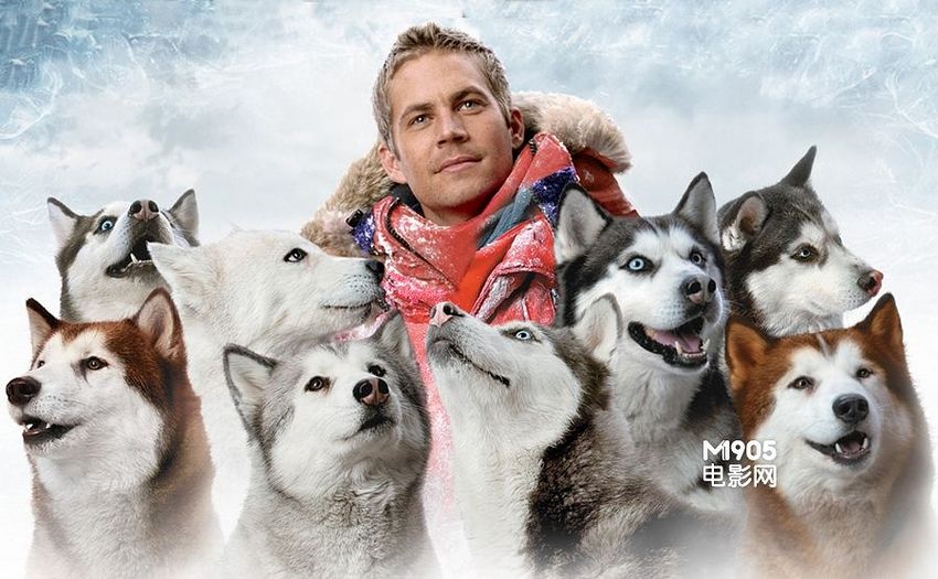 《南极大冒险》 Eight Below 2006年 这是保罗·沃克除了《速度与激情》系列之外收获票房最高的影片。《南极大冒险》是迪士尼出品的冒险喜剧，讲述3名南极科考队员与8条雪橇狗在危险暴风雪境况下互救互助的感人故事。影片在全球拿下1.2亿美元票房。
