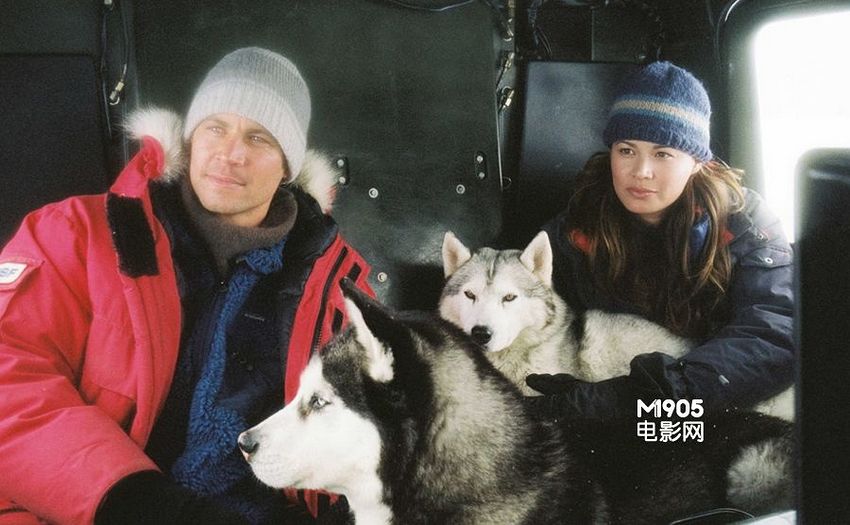 《南极大冒险》 Eight Below 2006年