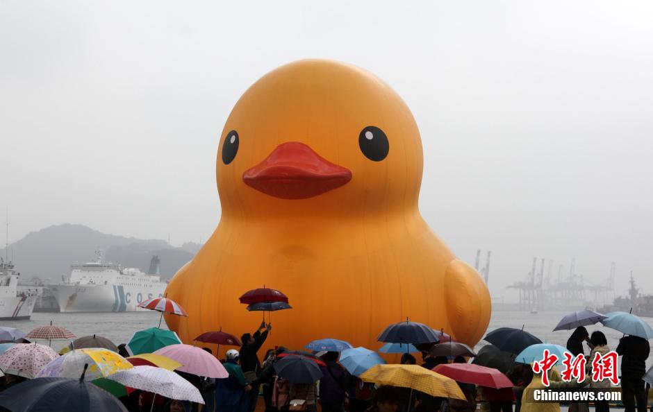 Canard Jaune Jap main image 1