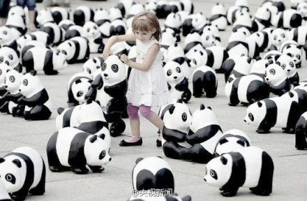 Exposition de 1 600 pandas de papier en France et en Allemagne