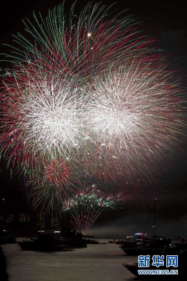 Le 1er janvier 2014, des feux d&apos;artifices au port de Sydney en Australie.