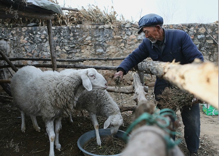 La solitude de célibataires âgés dans des villages