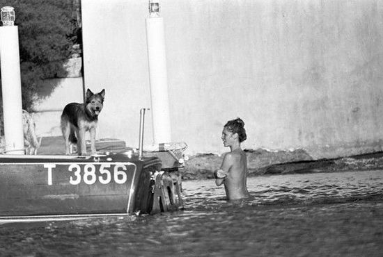 Les célébrités sous l'objectif du paparazzi français Daniel Angeli Les célébrités sous l'objectif du paparazzi français Daniel Angeli