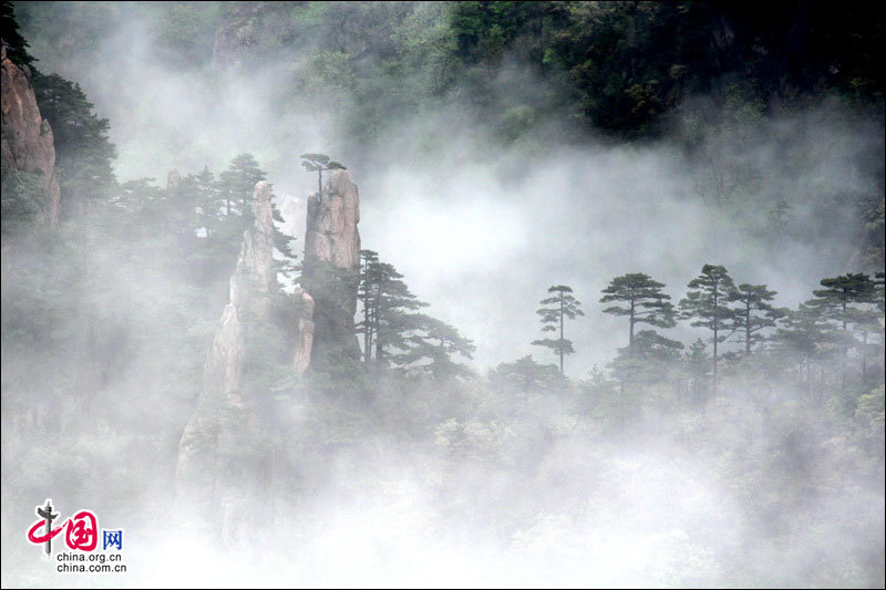 Le mont Huangshan : comme un tableau à l'encre de Chine