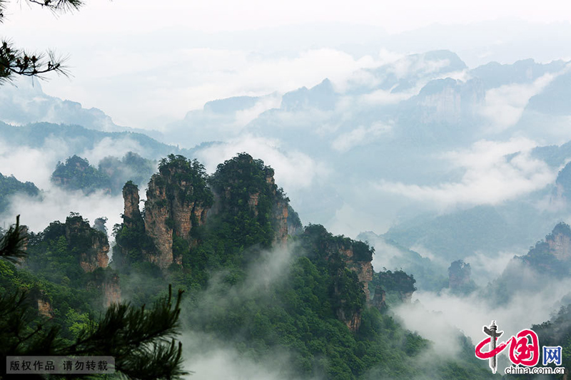 Le mont Tianzishan après la pluie