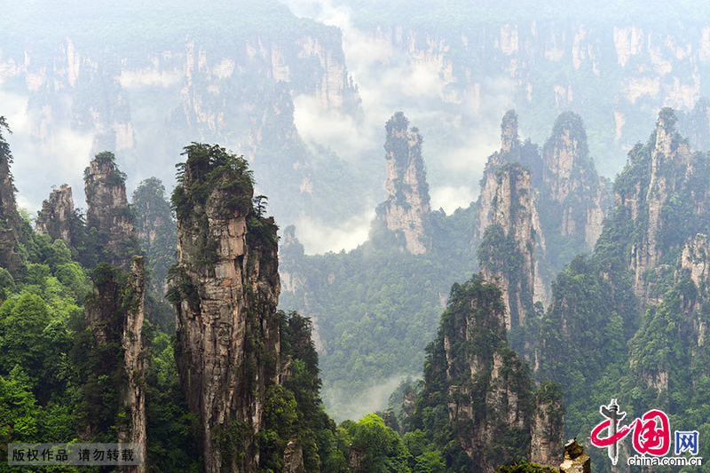 Le mont Tianzishan après la pluie